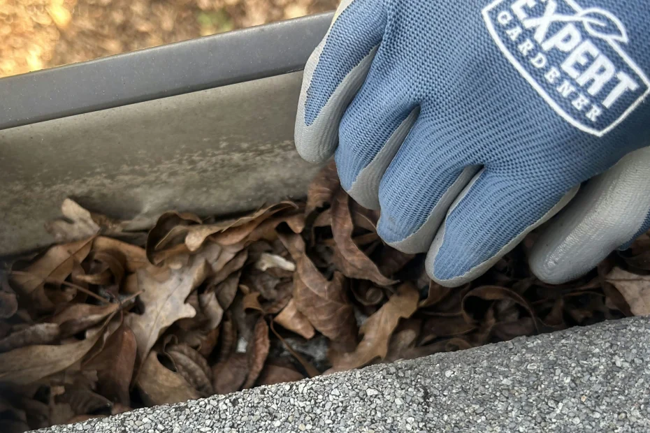 Gutter Cleaning Wake Forest NC