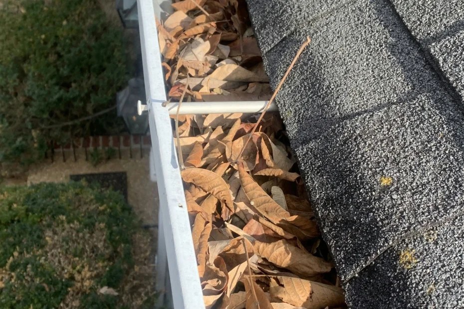 Gutter Cleaning Wake Forest NC